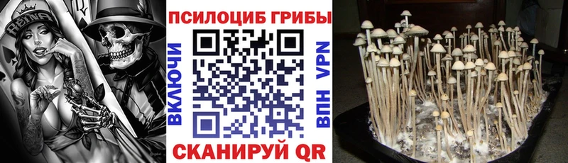 Галлюциногенные грибы прущие грибы  Протвино 